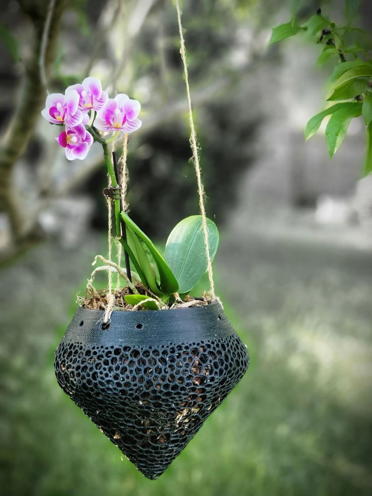 Blooming orchid in a black Kokedama-inspired hanging pot